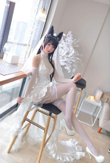 柳舟记电视剧免费25集观看_高清在线视频观看
