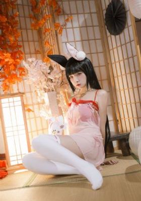 保险女王和他的商业秘密_DVD高清视频观看